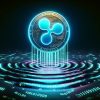 افزایش ارزش XRP